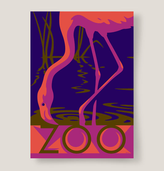 Zoo Flamingo