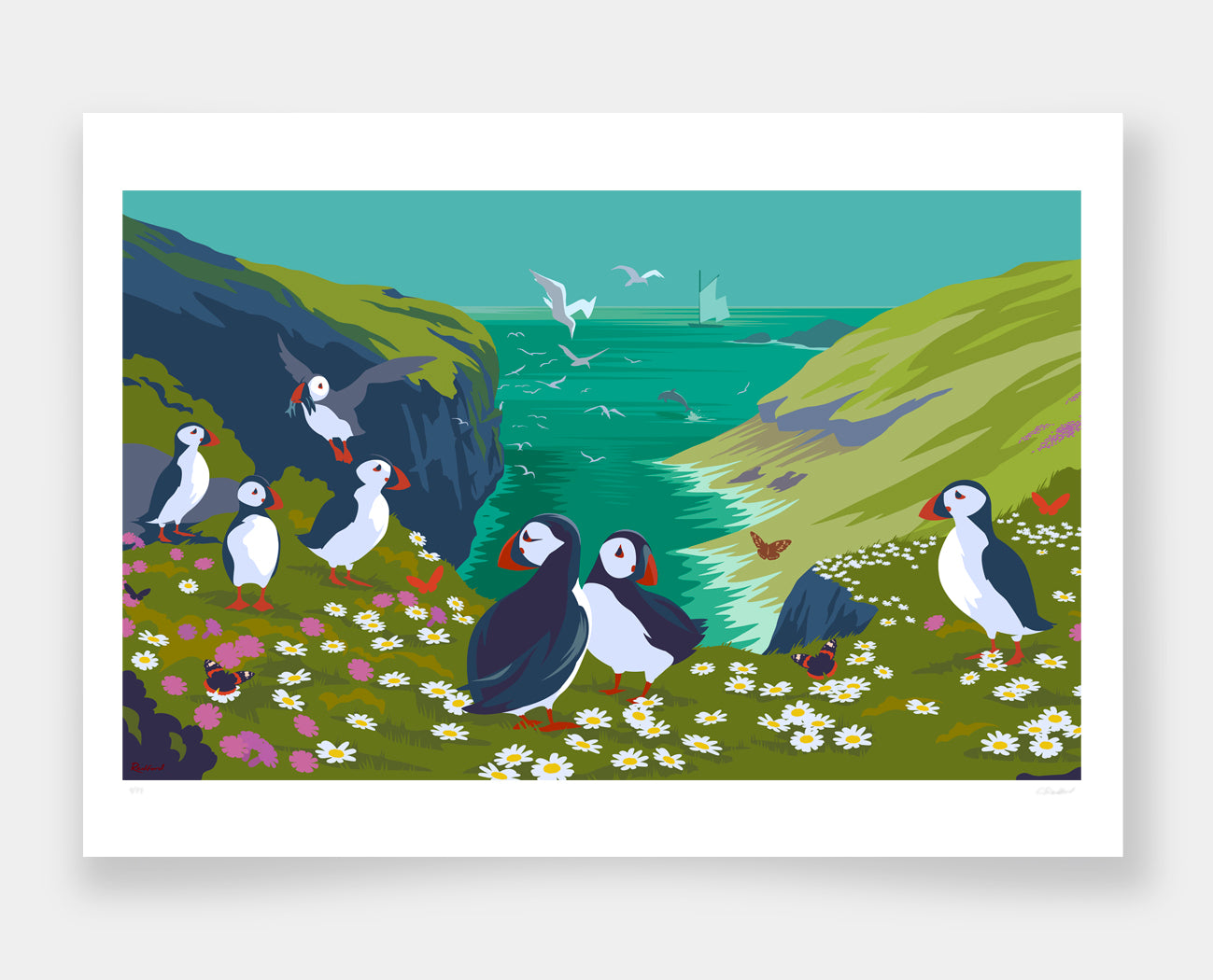 Puffins of Skomer