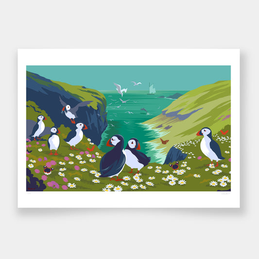 Puffins of Skomer